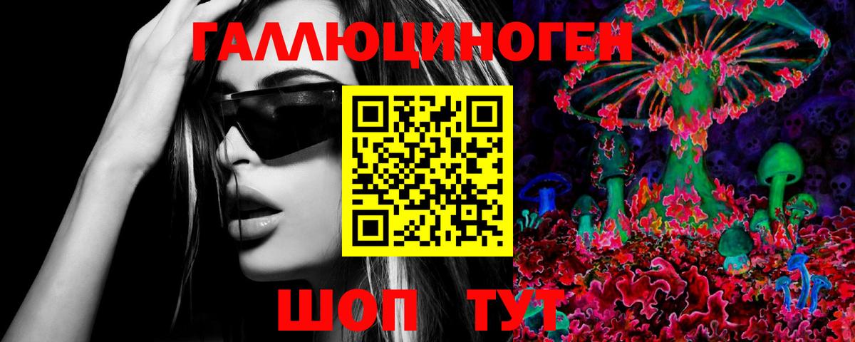 Псилоцибиновые грибы Psilocybine cubensis  хочу наркоту  Новотроицк  Вход с VPN 